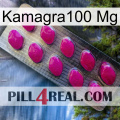Kamagra100 Mg 09